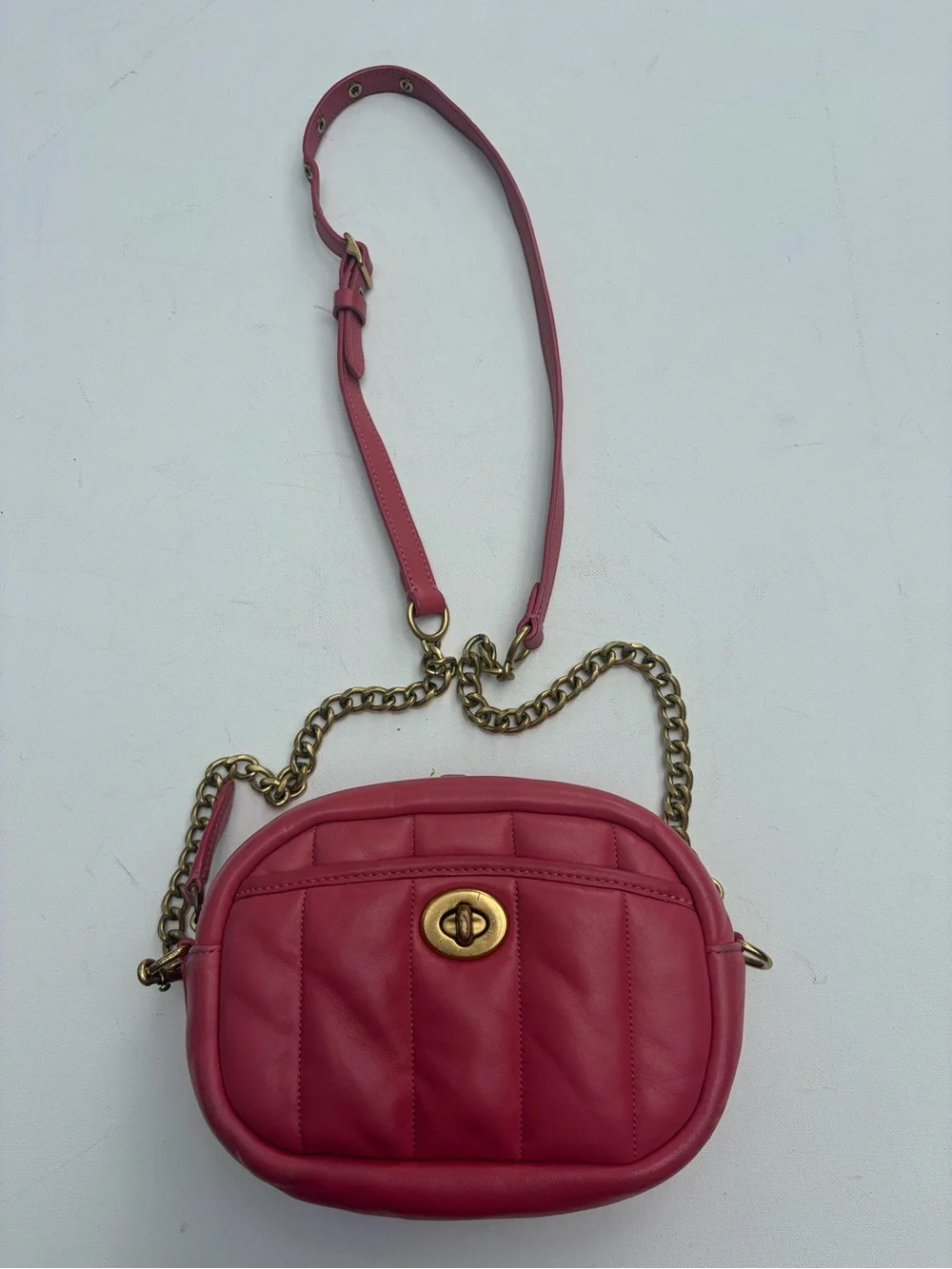 Coach Watermelon Camera Bag